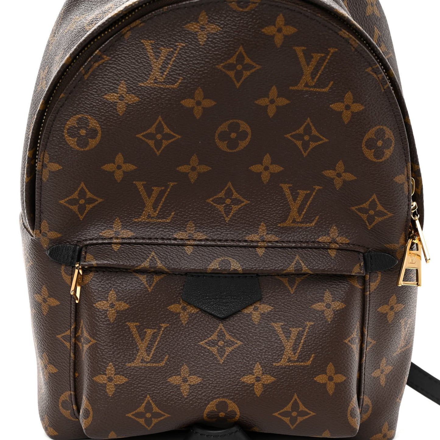 Monogram Palm Springs Backpack PM