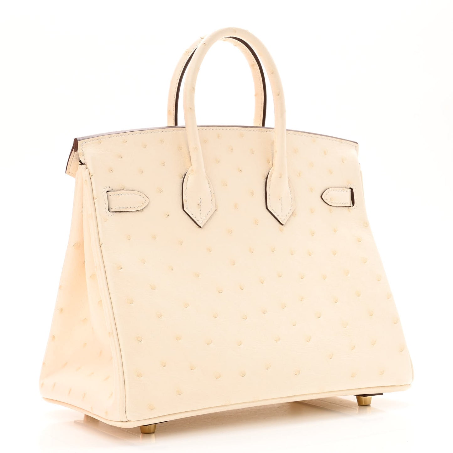 Ostrich Birkin 25 Nata