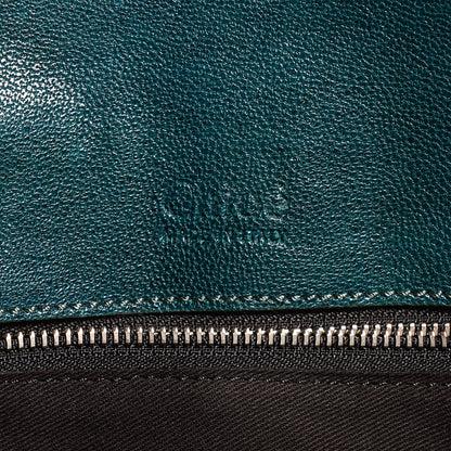 Chloe Sheepskin Saskia Satchel Aqua Fresh 6 of 10