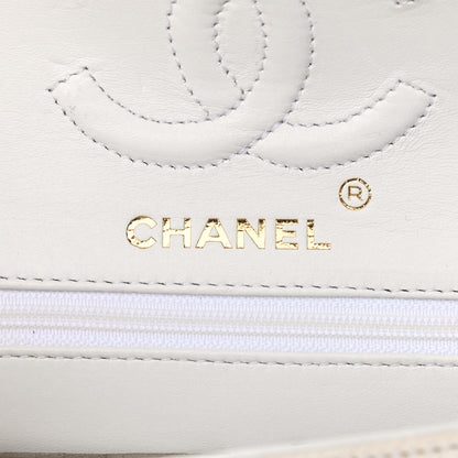Chanel Lizard Small Double Flap White 5 of 10