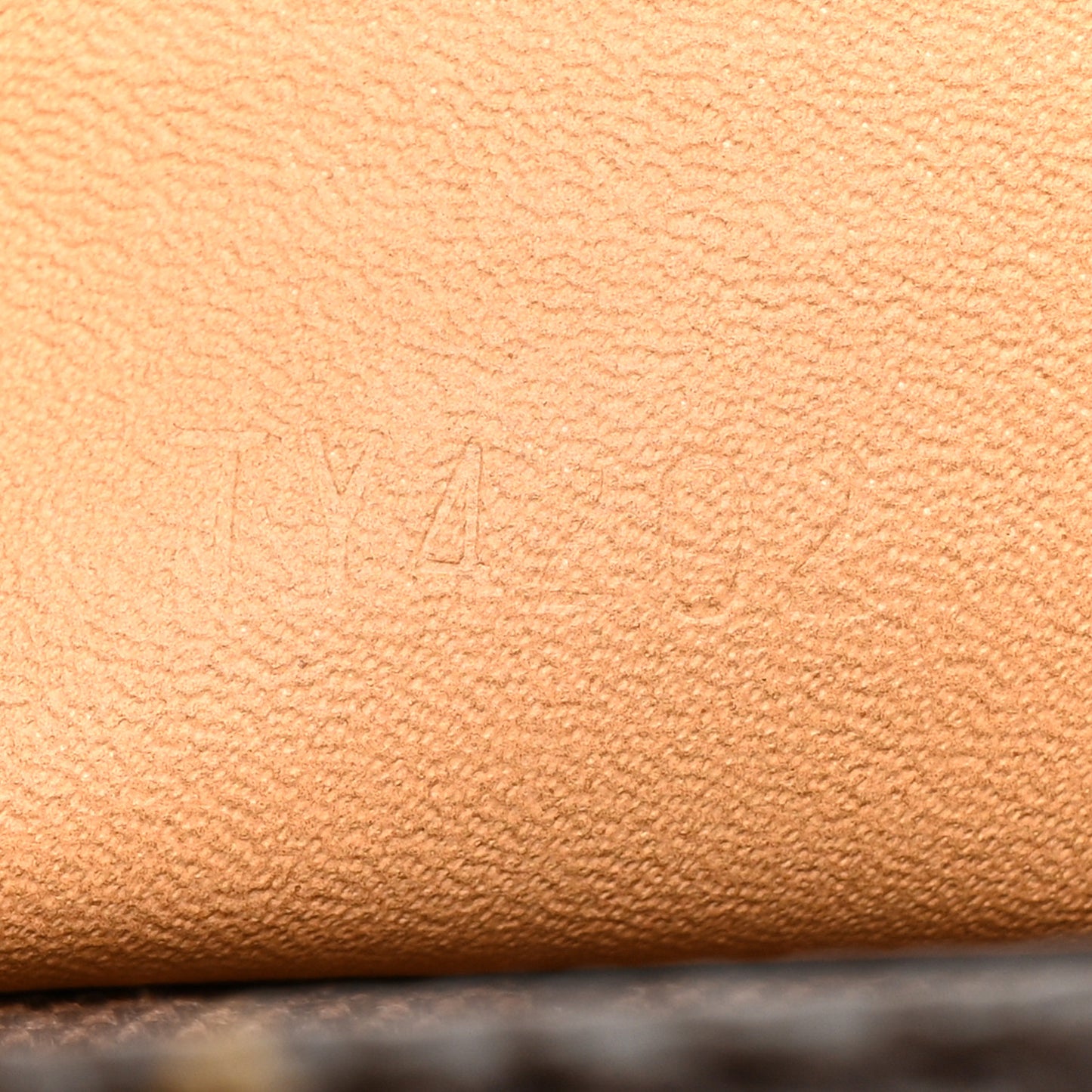 Monogram Nano Speedy Bandouliere