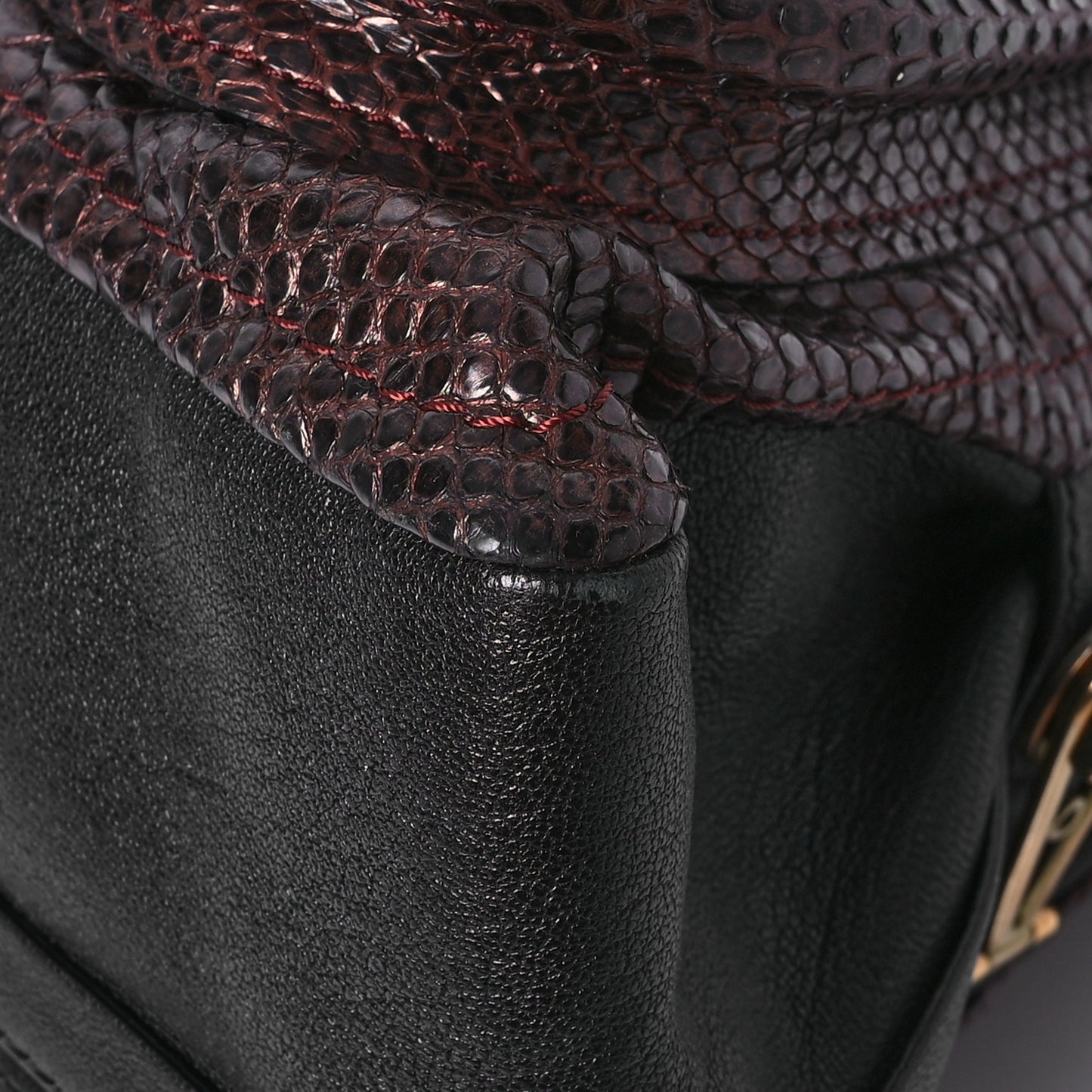 Snakeskin Medium Paraty Gold Berry