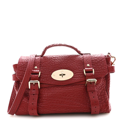 Mulberry Shrunken Calfskin Medium Alexa Red 1 of 16