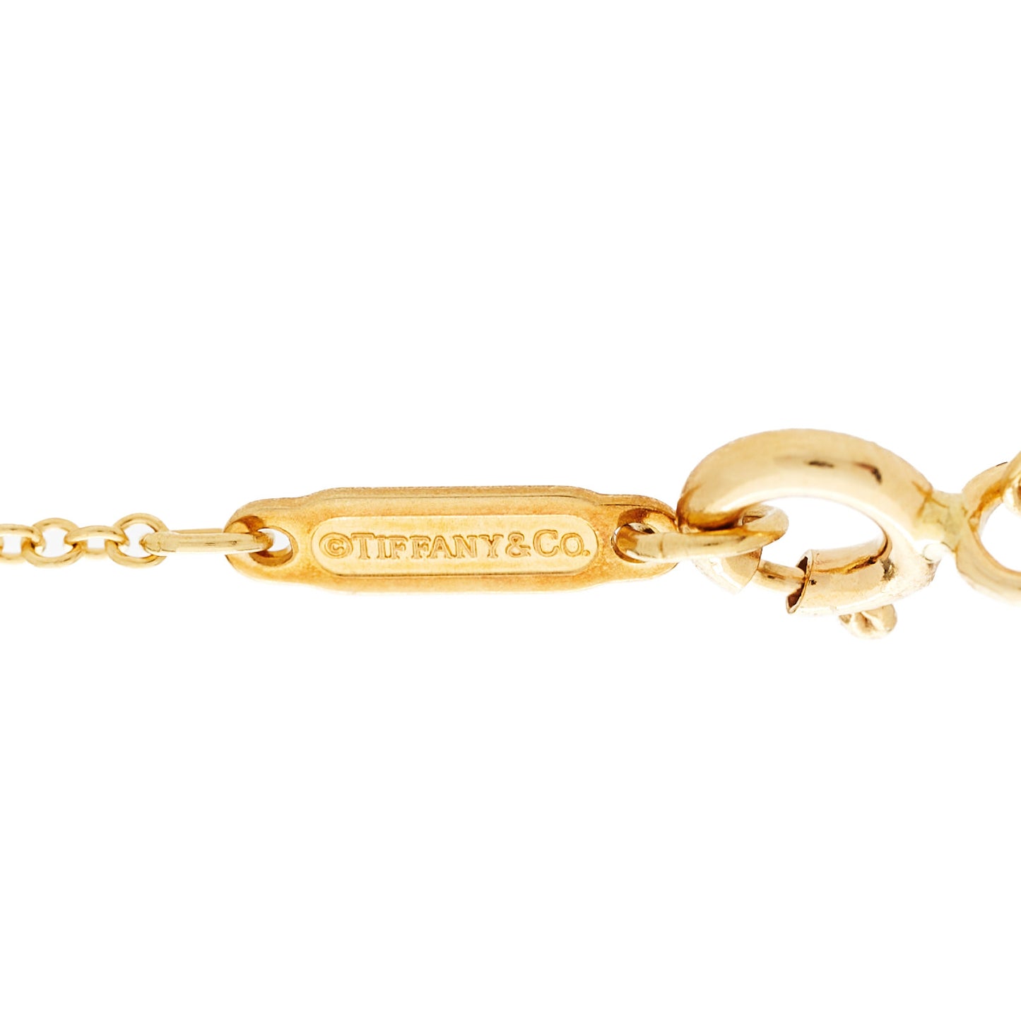 18K Yellow Gold Save The Wild Lion Charm Pendant Necklace