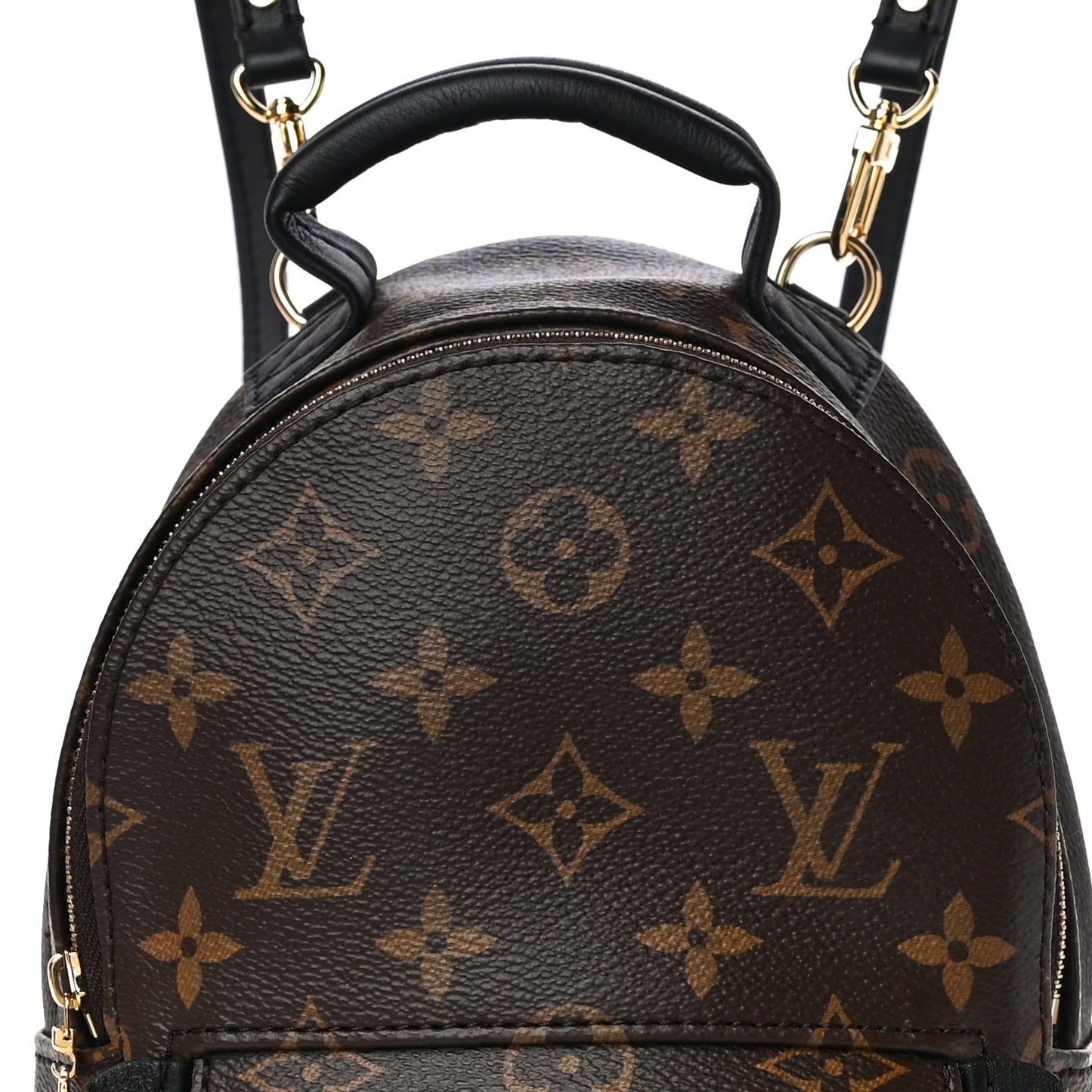 Monogram Palm Springs Backpack Mini