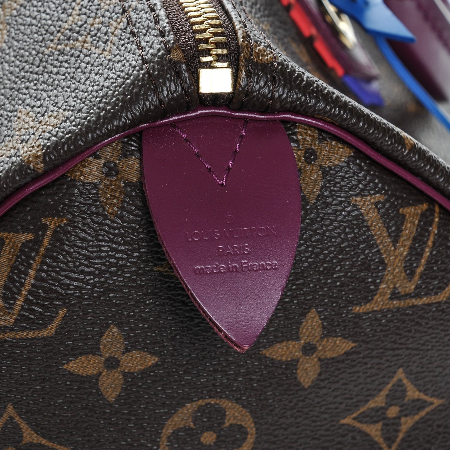 Monogram Totem Speedy 30 Magenta