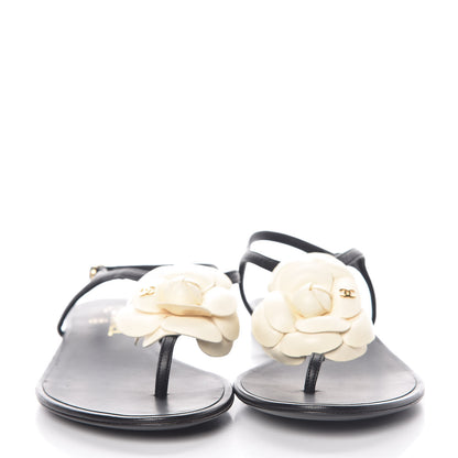 Chanel Lambskin Camellia Thong Sandals 39.5 Black White 2 of 8