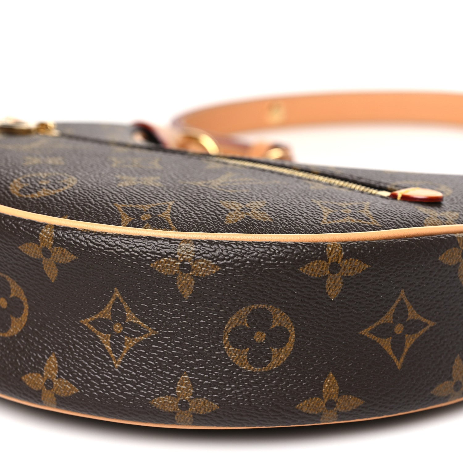 Louis Vuitton Monogram Loop 9 of 9
