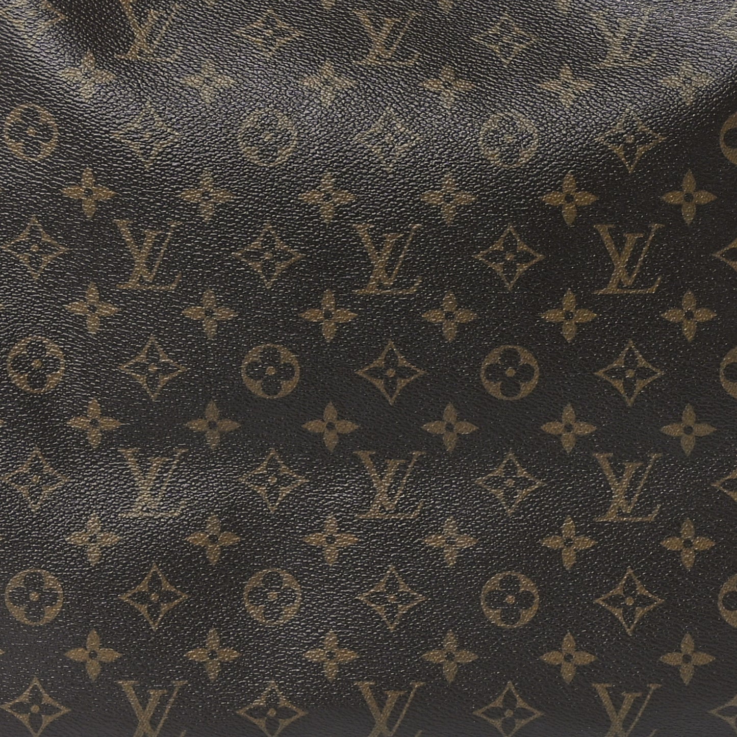 Monogram Delightful PM
