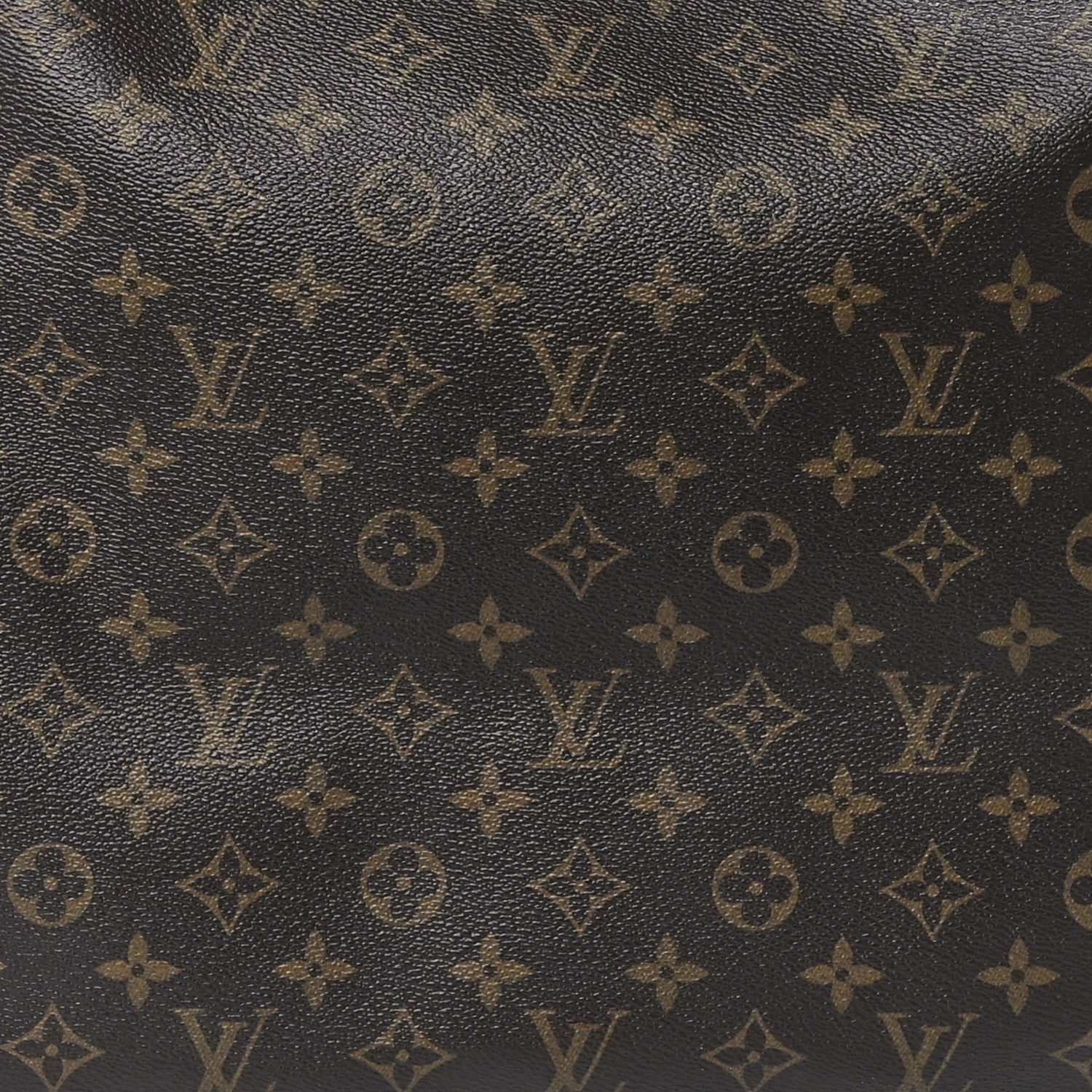 Louis Vuitton Monogram Delightful PM 10 of 13
