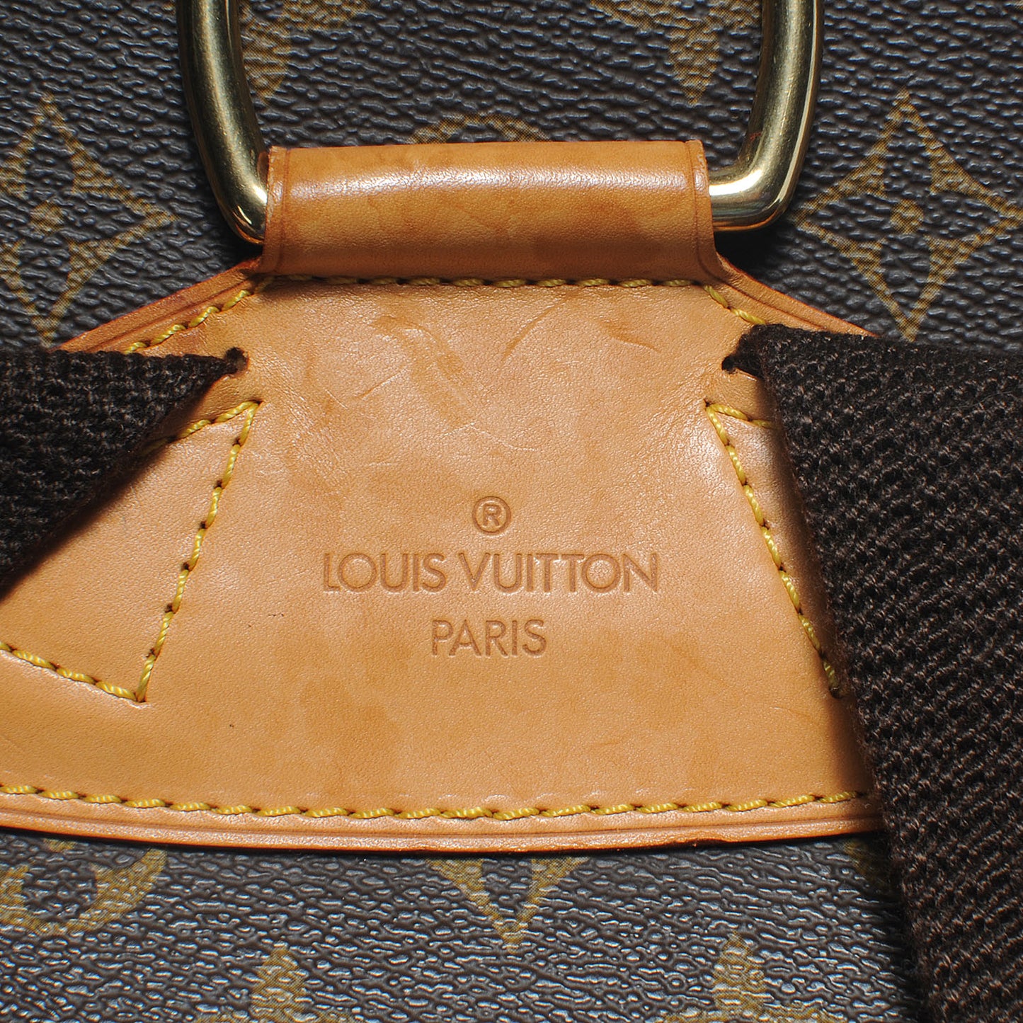 Monogram Montsouris GM Backpack