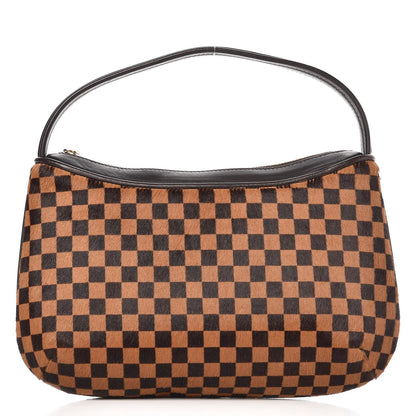 Louis Vuitton Calf Hair Damier Sauvage Tigre 1 of 6
