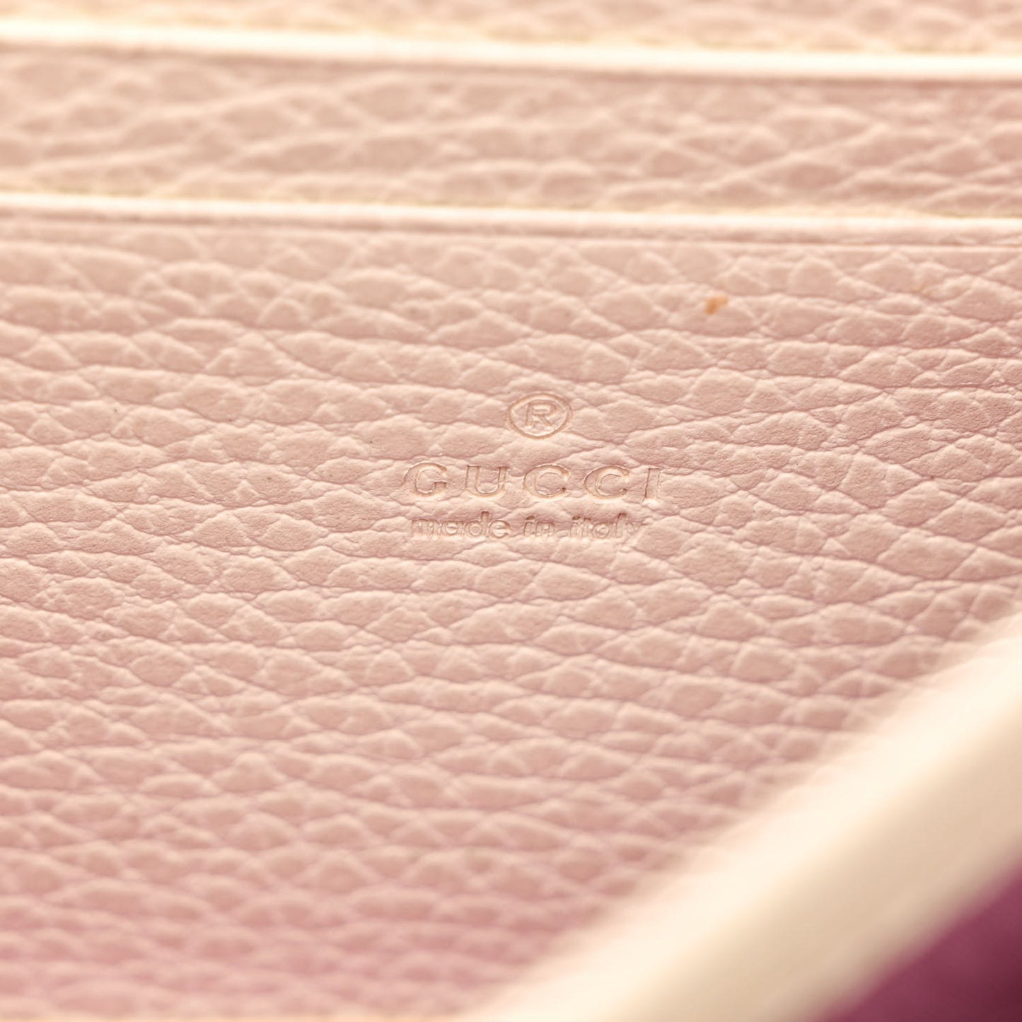Dollar Calfskin Mini Dionysus Chain Wallet Mystic White