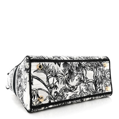Christian Dior Toile de Jouy Voyage Embroidered Medium Lady D-Lite White Multicolor 4 of 11