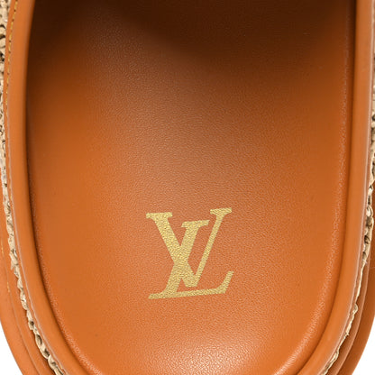 Louis Vuitton Raffia LV Easy Mens Mule 9.5 Beige 10 of 10