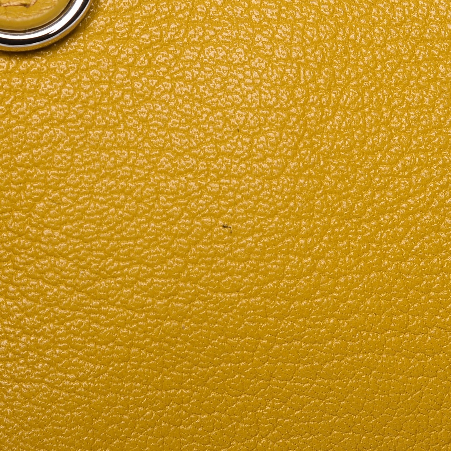 Chevre Silver Metallic Edge Hardware Nano City Jaune Epi