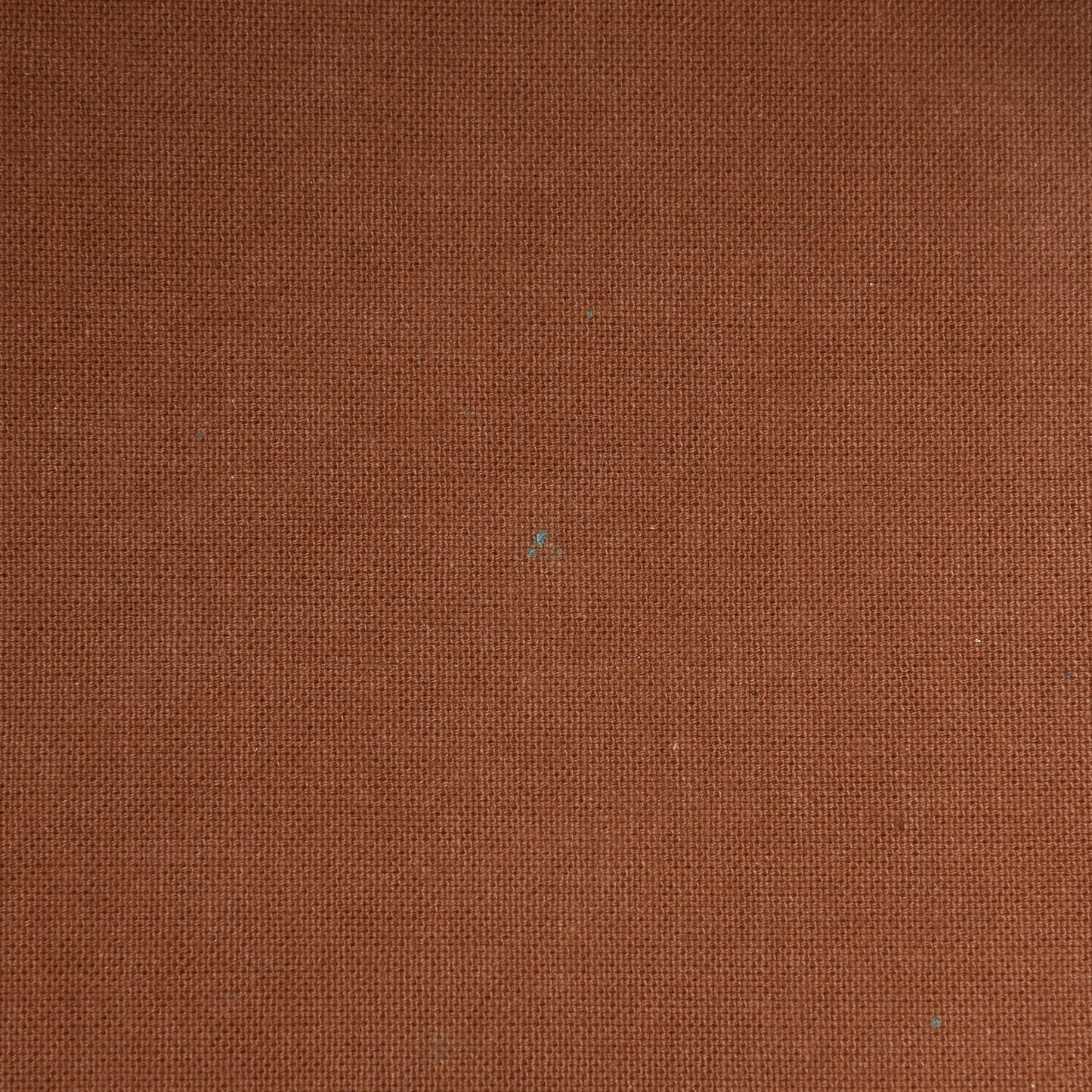 Monogram Petit Noe