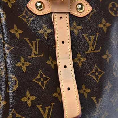 Louis Vuitton Monogram Palermo GM 10 of 13