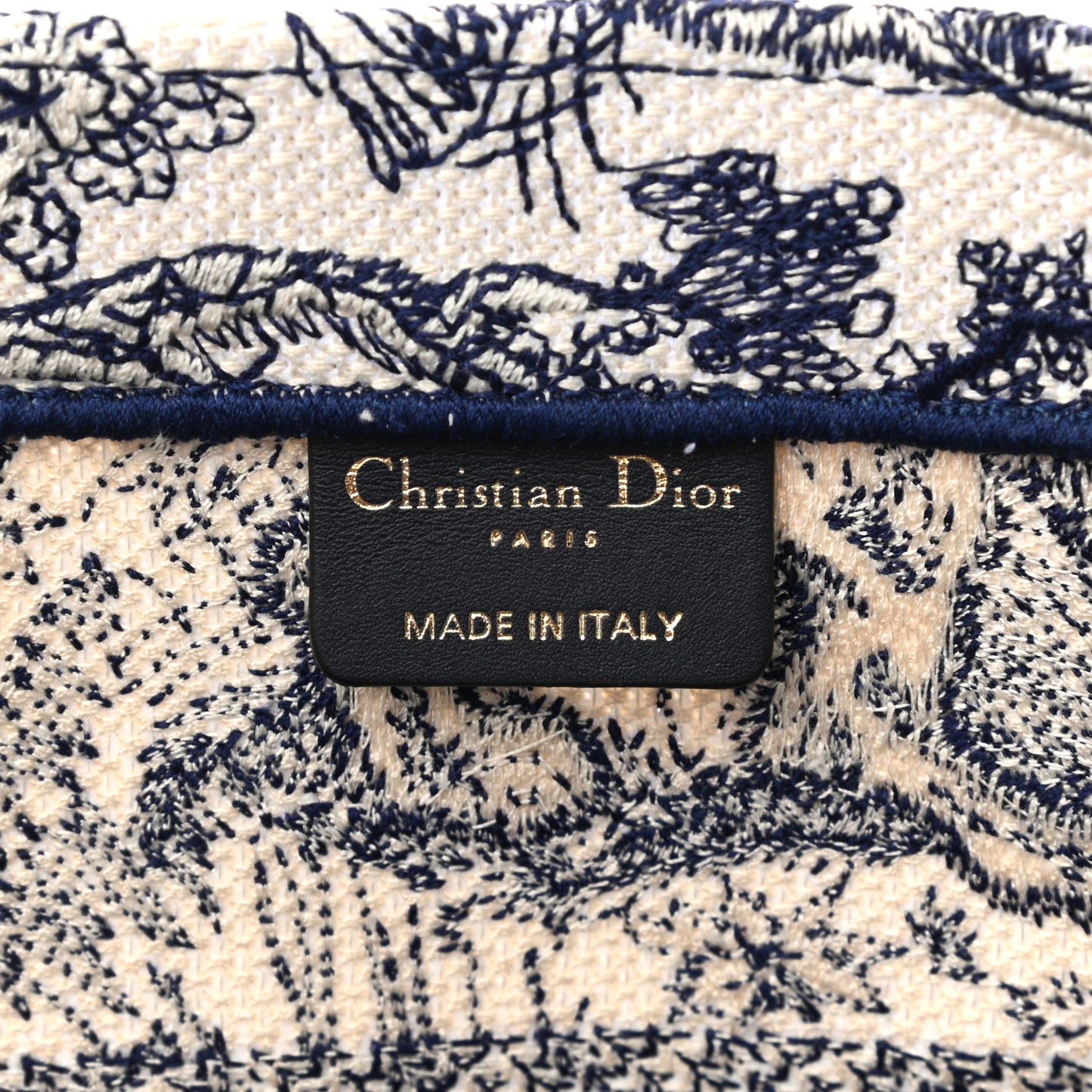 Canvas Embroidered Medium Dioriviera Toile De Jouy Book Tote Blue