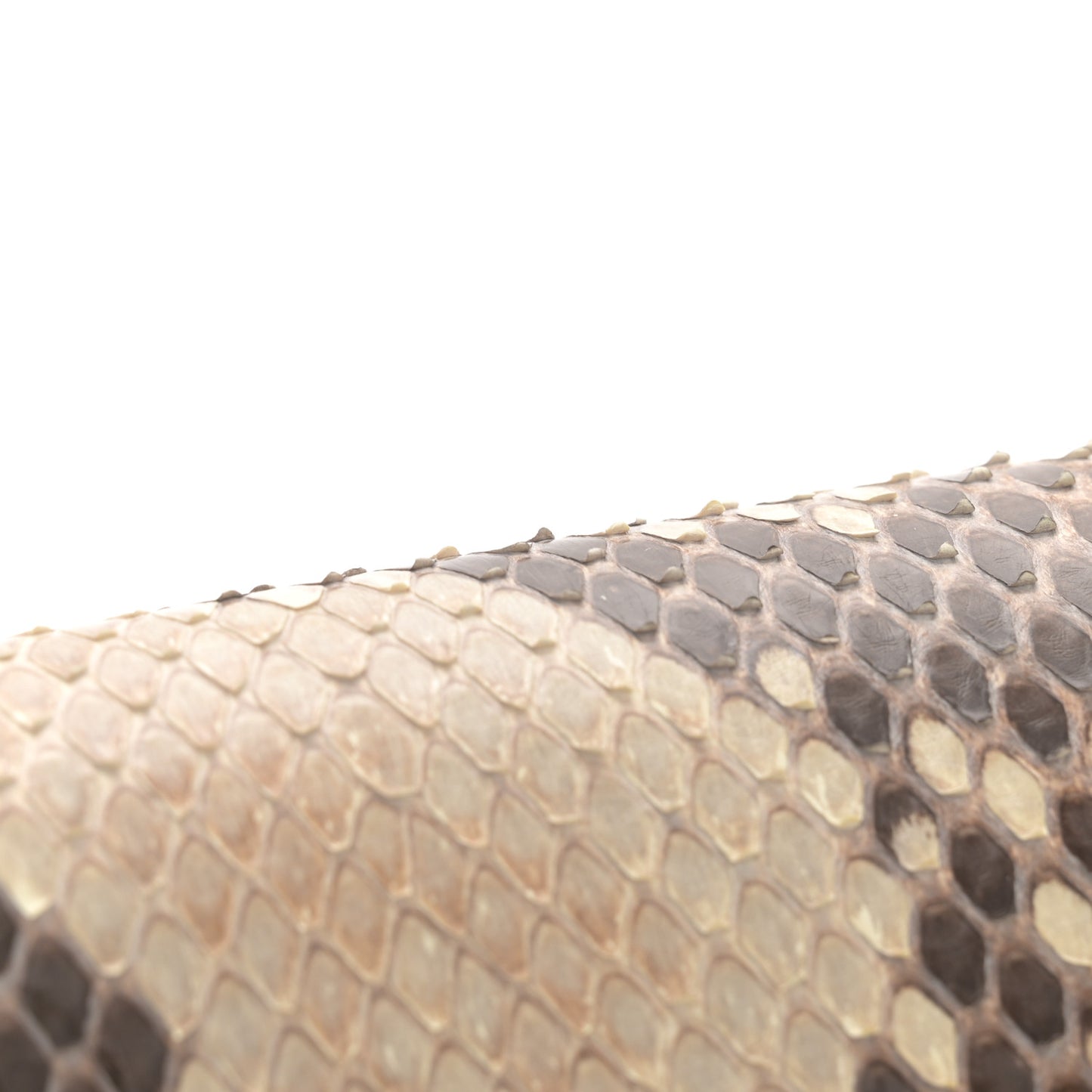 Soft Calfskin Snakeskin My Lockme Chain Pochette Black
