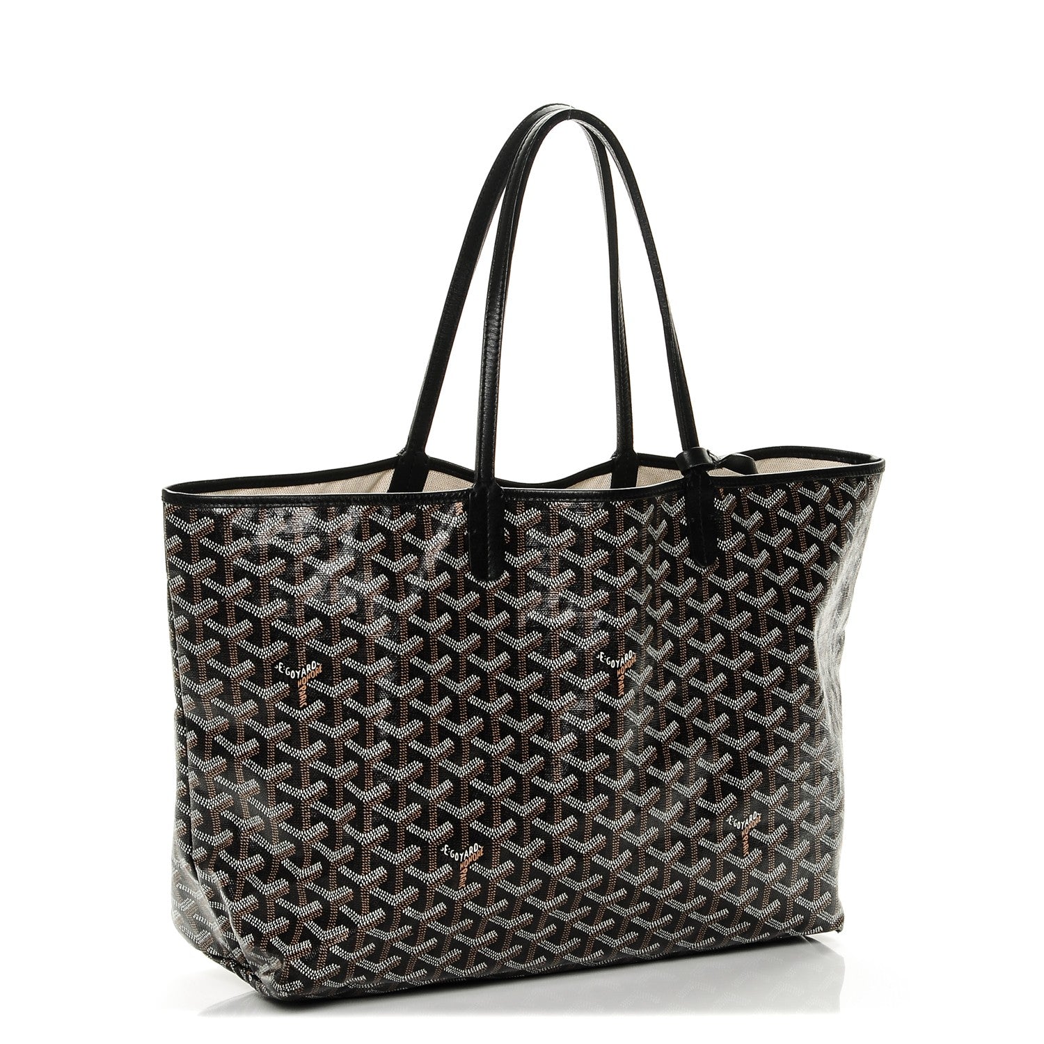 Goyard Goyardine Saint Louis PM Black 3 of 6