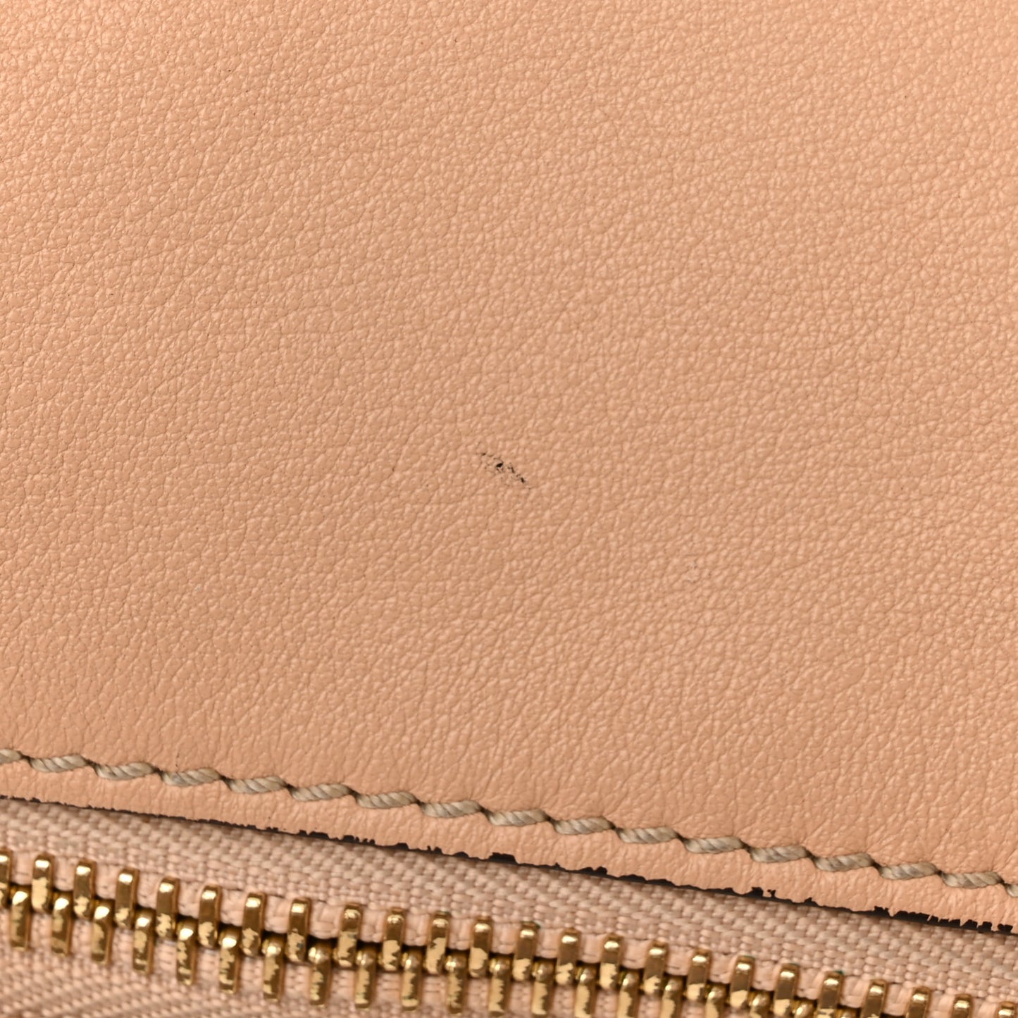 Calfskin Large Marcie Hobo Nude