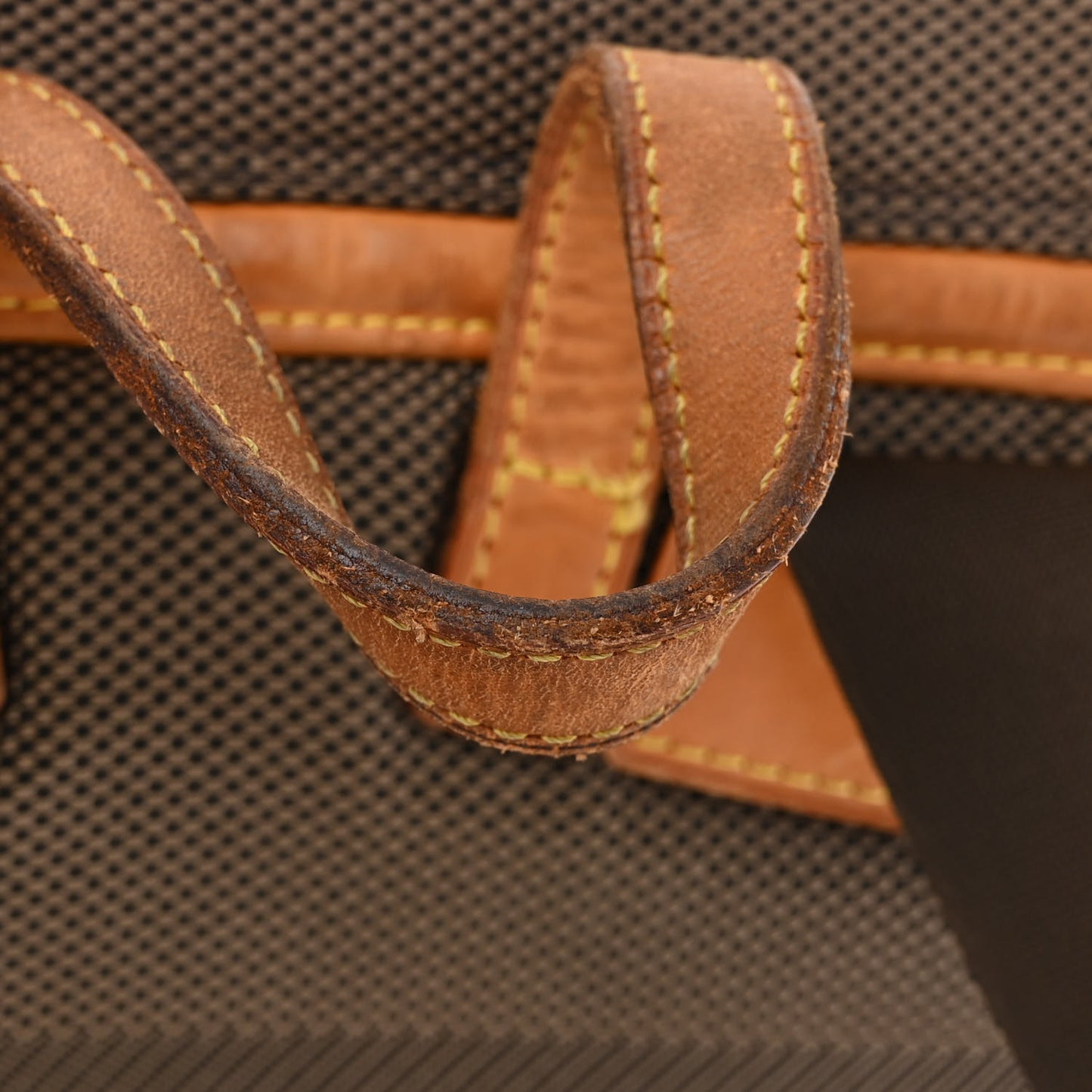 Damier Geant Pionnier Backpack Terre