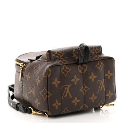 Louis Vuitton Monogram Palm Springs Backpack Mini 4 of 9