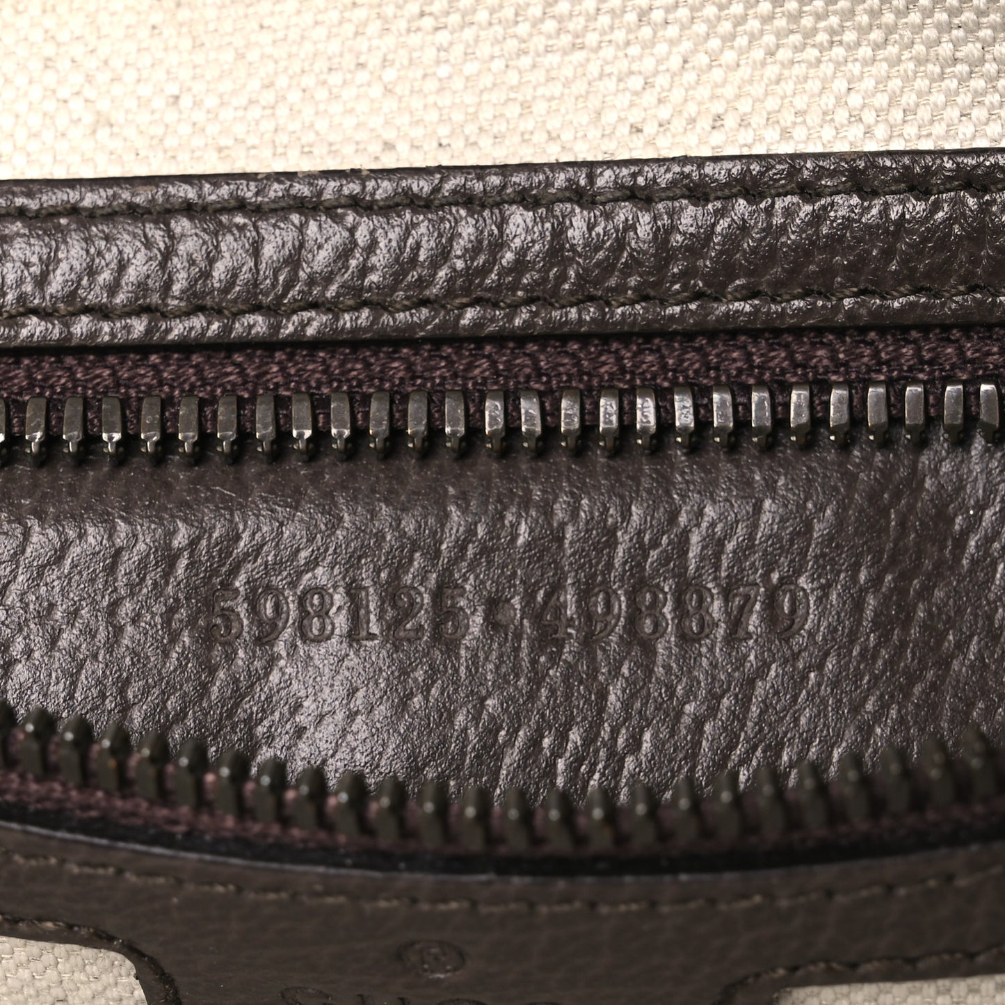 GG Supreme Monogram Web Small Ophidia Half Moon Hobo Brown
