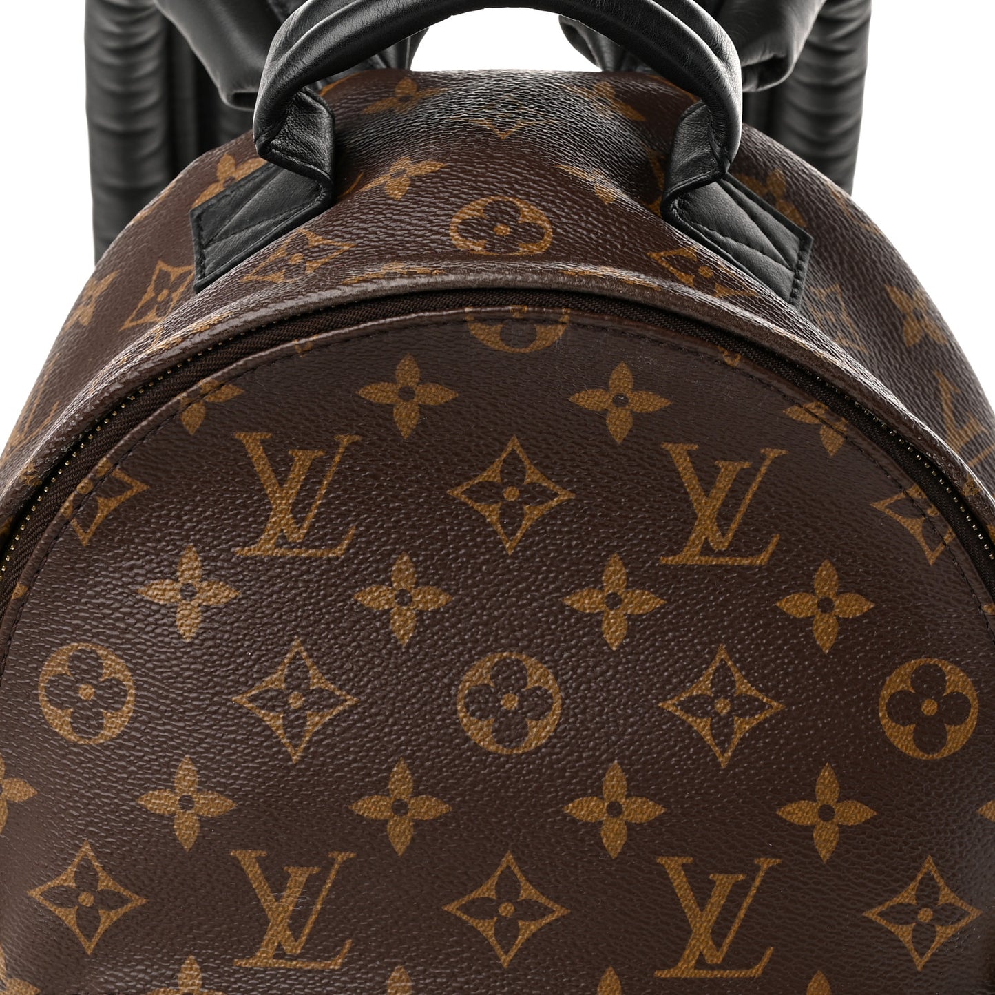 Monogram Palm Springs Backpack PM