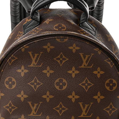 Louis Vuitton Monogram Palm Springs Backpack PM 6 of 8