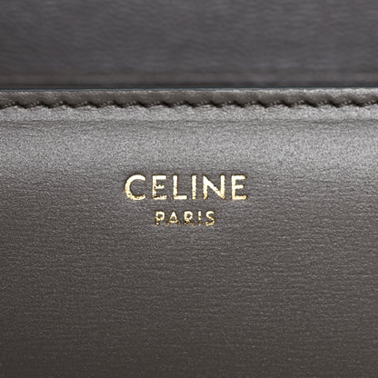 Celine Shiny Calfskin Medium Triomphe Pebble 6 of 17