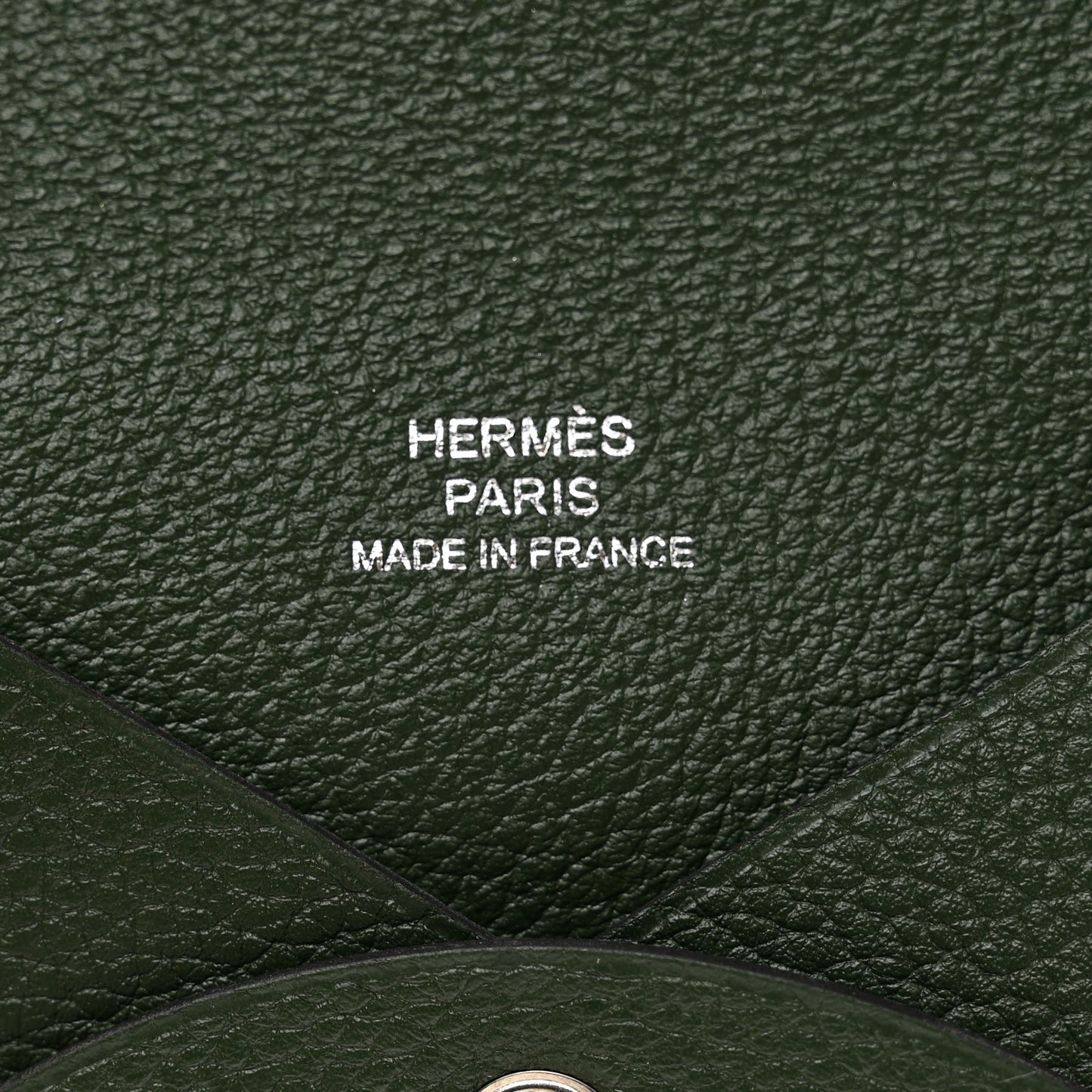 Evercolor Calvi Card Case Vert Anglais