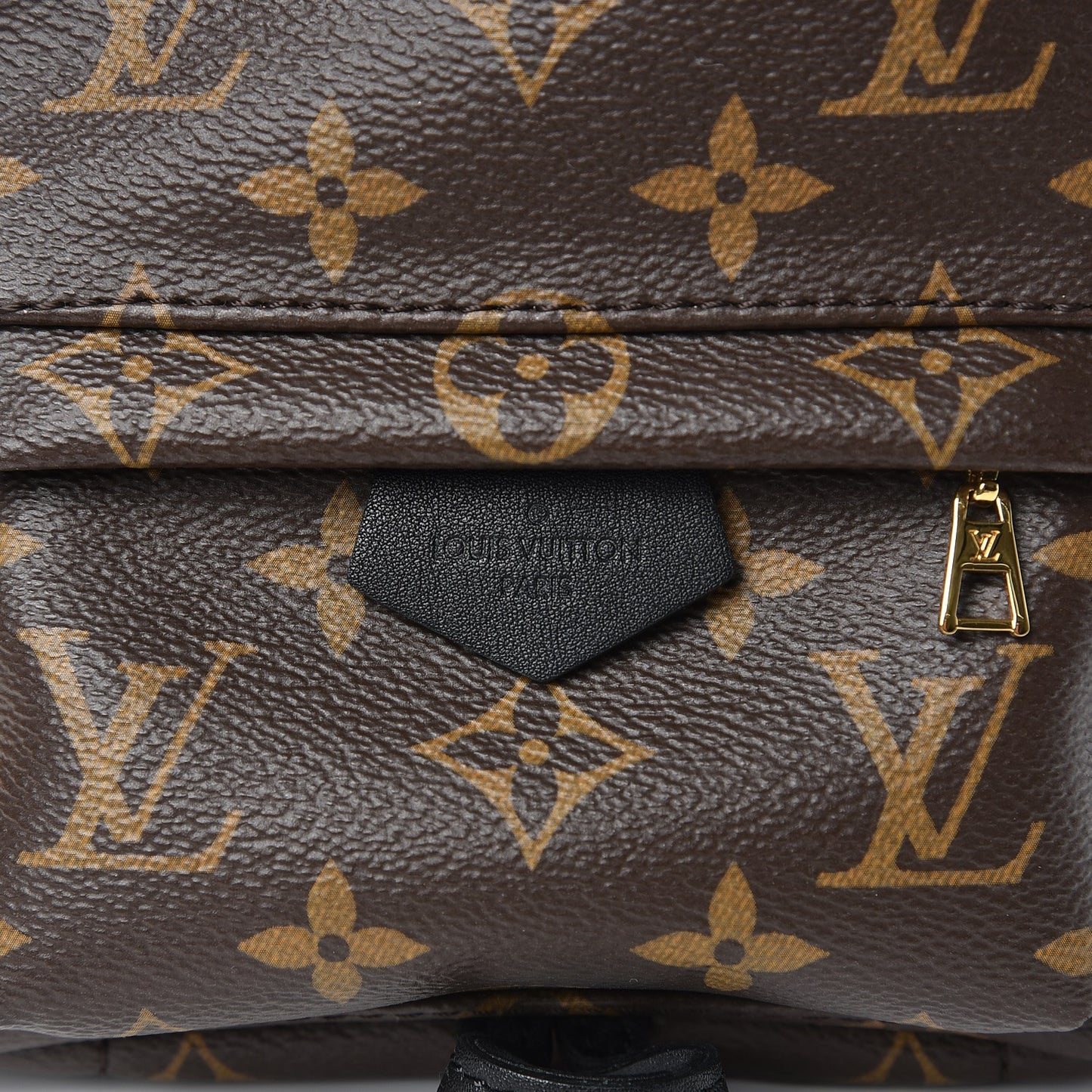 Monogram Palm Springs Backpack Mini
