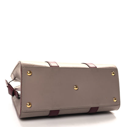 Louis Vuitton Monogram Cuir Plume Very Tote MM Mastic Raisin 4 of 10
