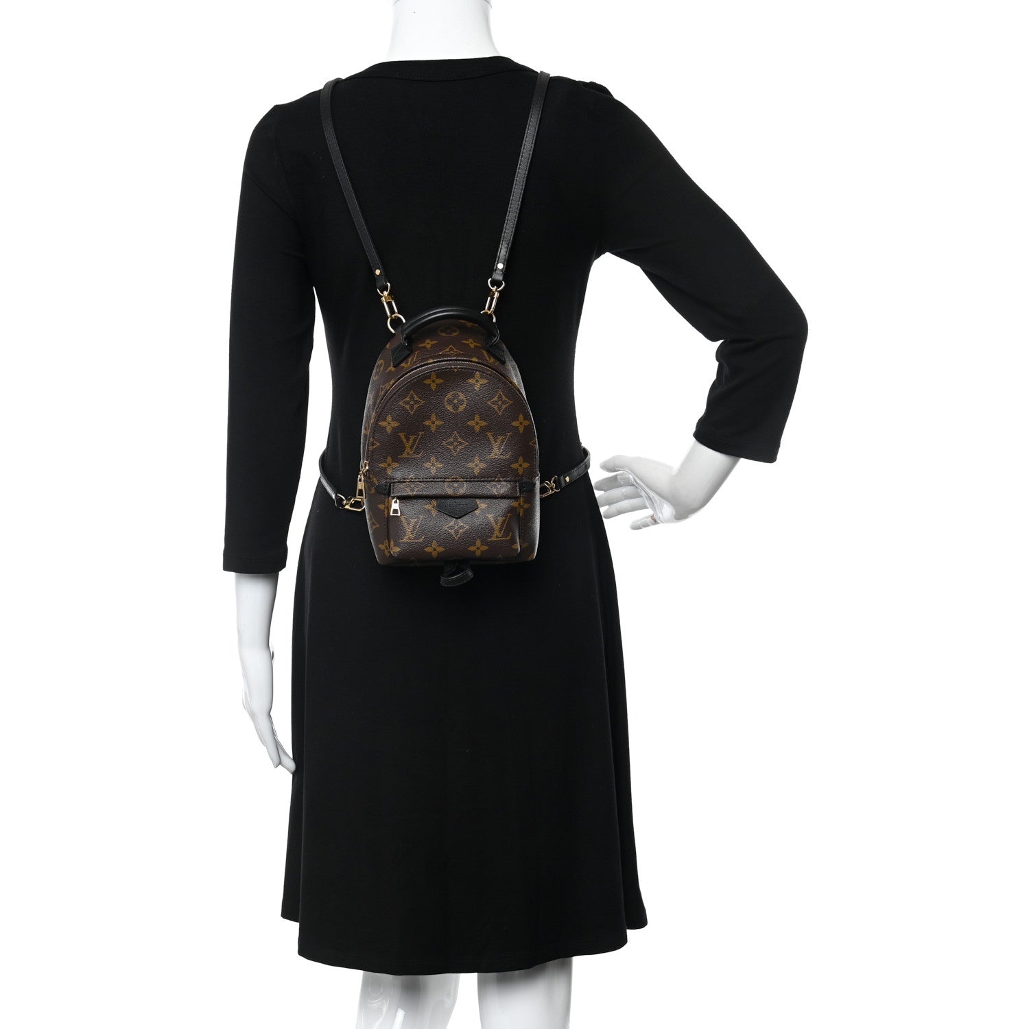 Louis Vuitton Monogram Palm Springs Backpack Mini 2 of 14