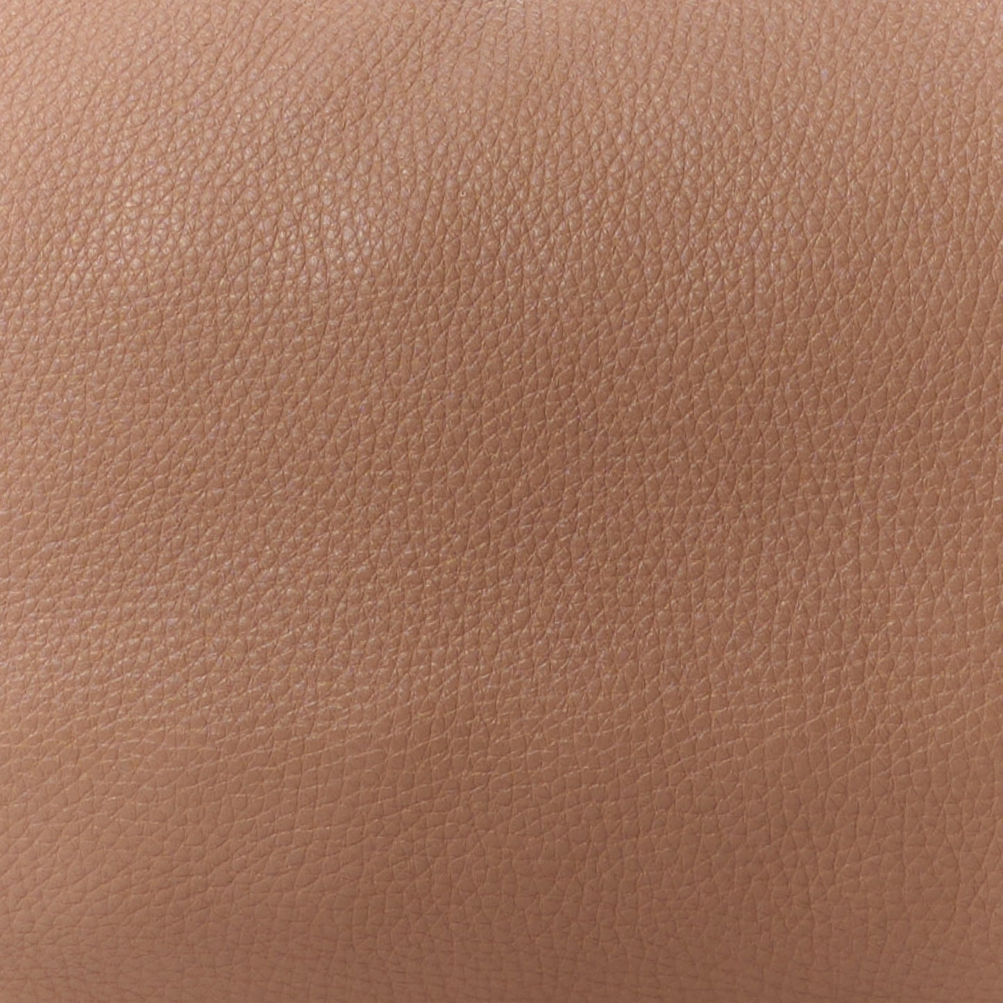 Pebbled Calfskin Medium Rockstud Tote Skin Sorbet