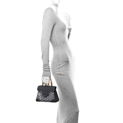 Goyard Goyardine Mini Saigon Grey 2 of 15