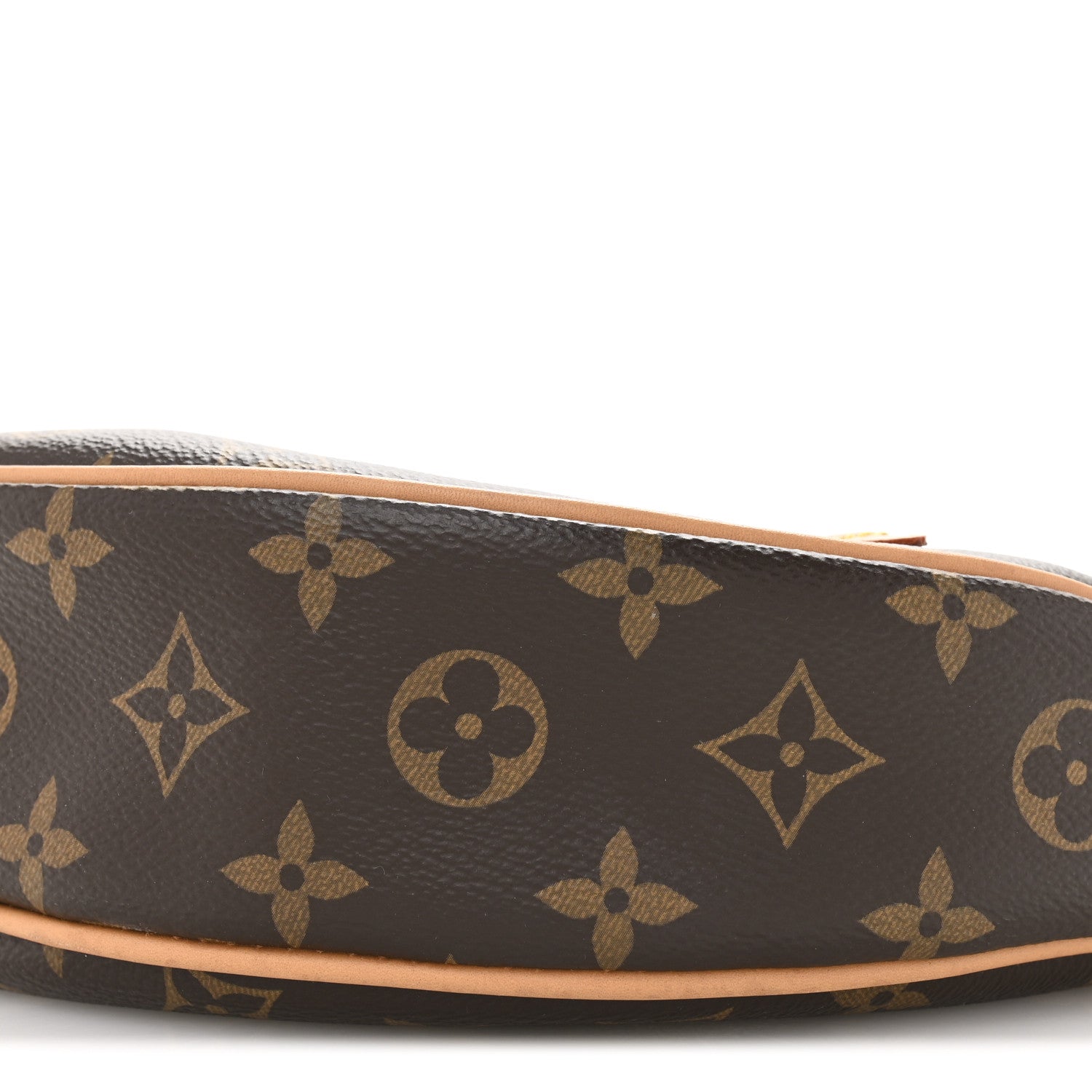 Louis Vuitton Monogram Loop 9 of 12