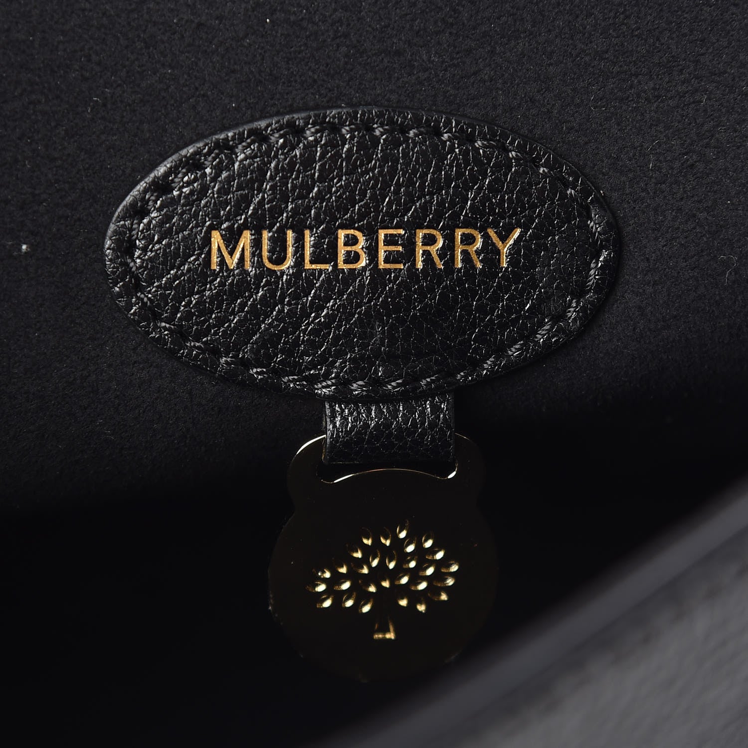 Mulberry Glossy Goatskin Medium Lily Black 6 of 9