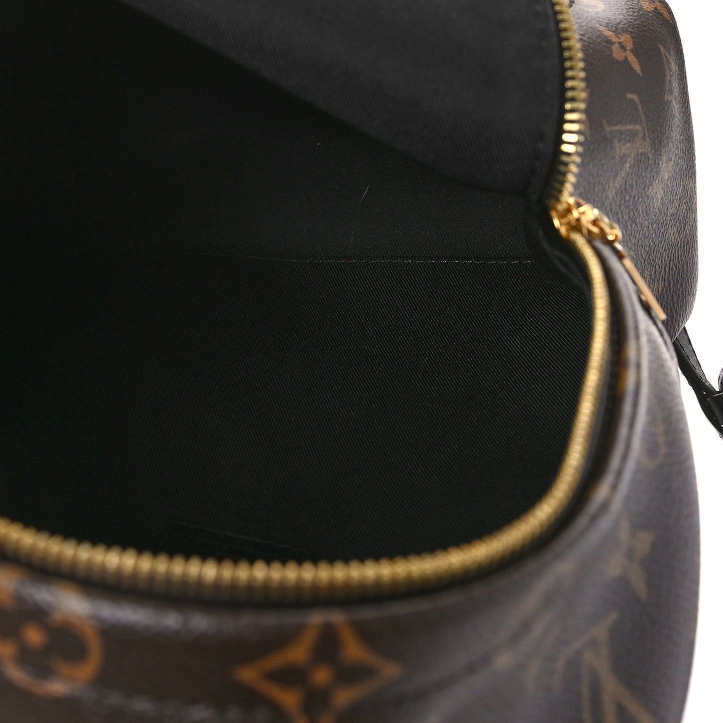Monogram Palm Springs Backpack PM
