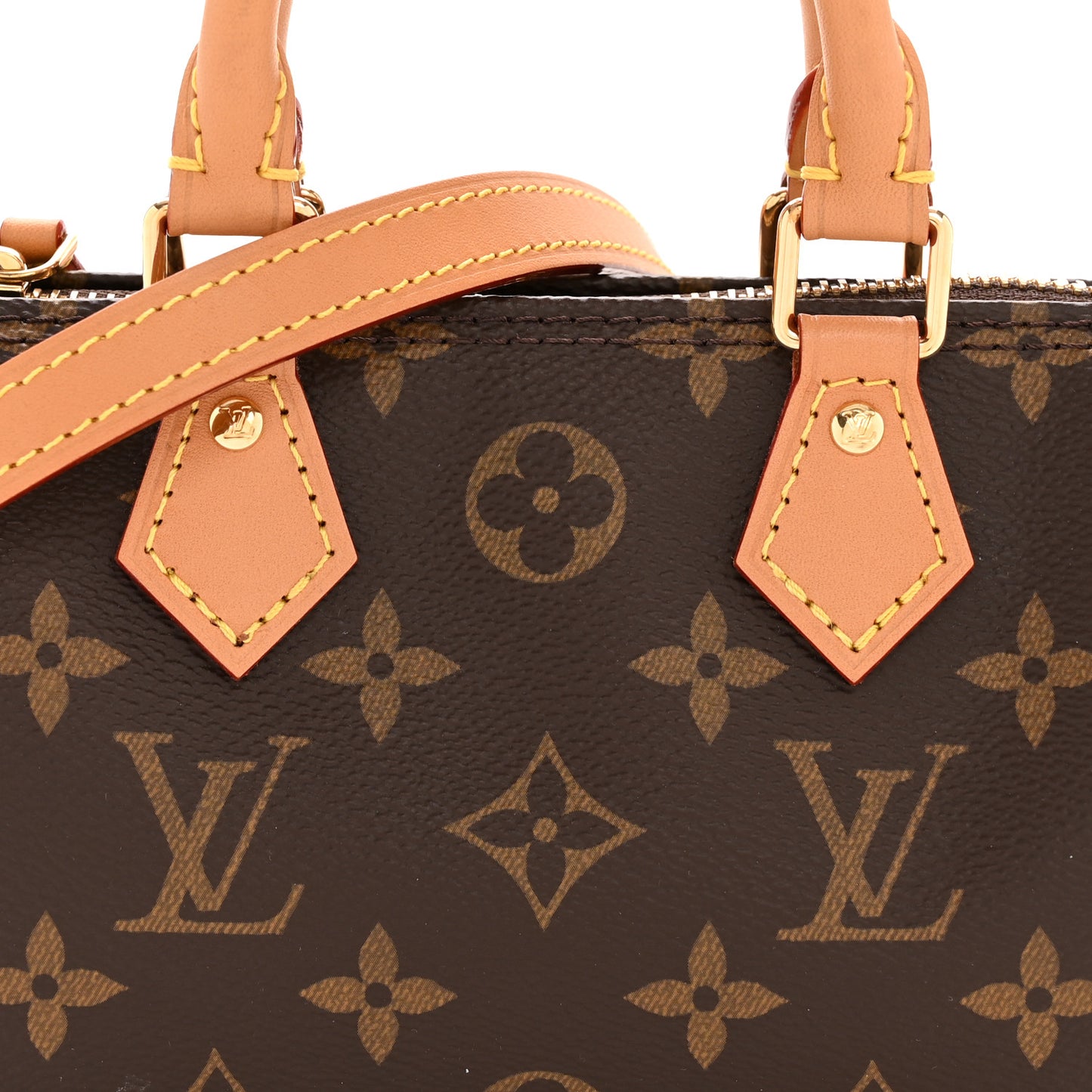 Monogram Nano Speedy Bandouliere