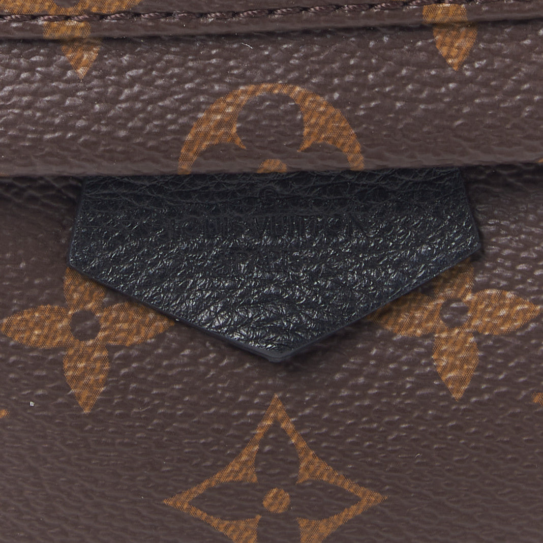 Louis Vuitton Monogram Palm Springs Backpack PM 10 of 10
