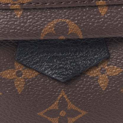 Louis Vuitton Monogram Palm Springs Backpack PM 10 of 10