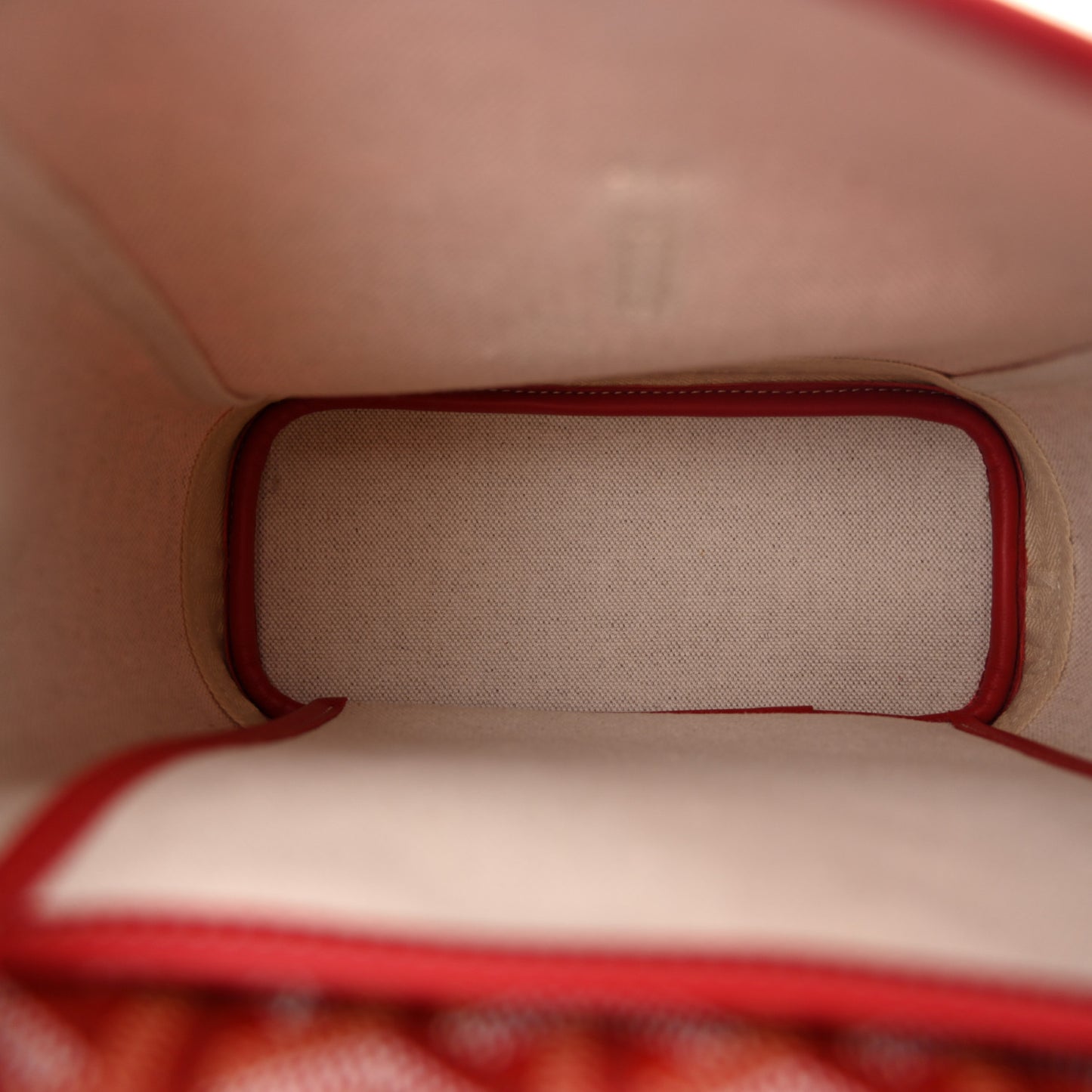Goyardine Calfskin Mini Alpin Backpack Red