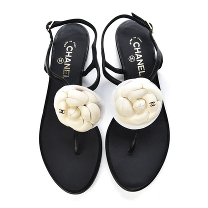 Chanel Lambskin Camellia Thong Sandals 41 Black White 10 of 10
