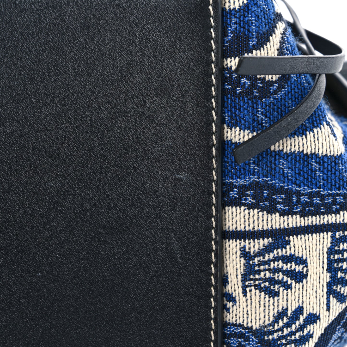 Calfskin Canvas Embroidered Small Hammock Shoulder Bag Blue