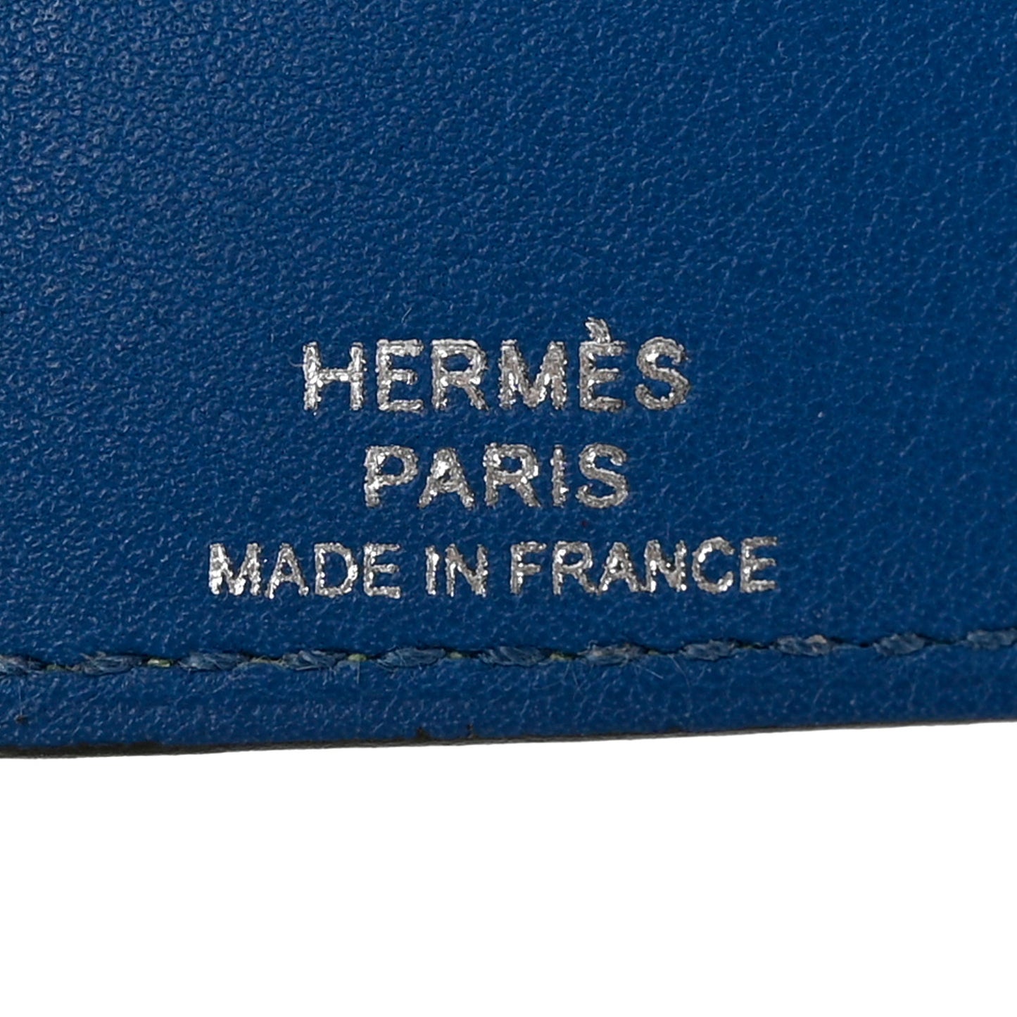 Evercolor Swift Verso Ulysse Nano Bag Charm Vert Criquet Bleu France