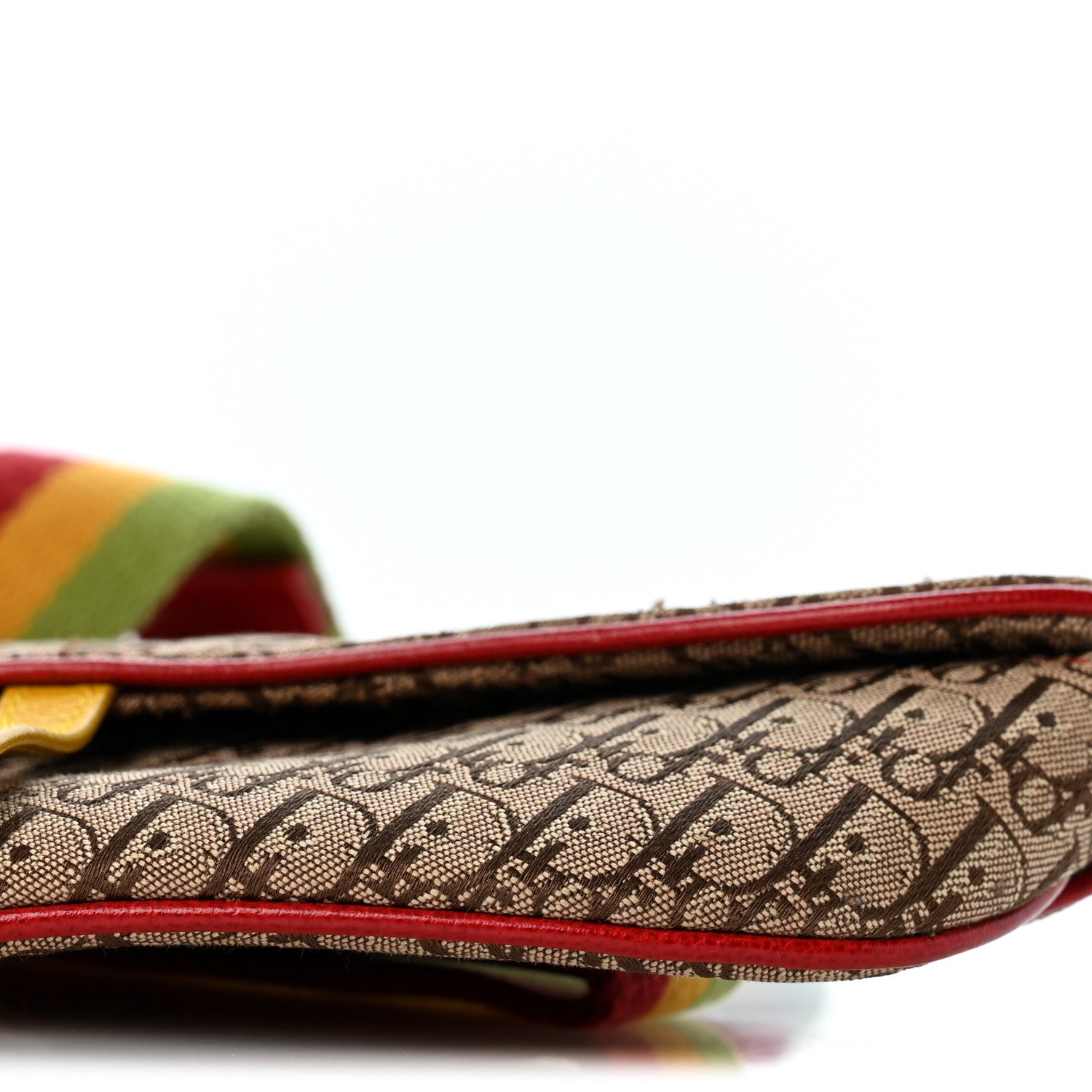 Christian Dior Monogram Rasta Saddle Belt Bag Beige 8 of 10