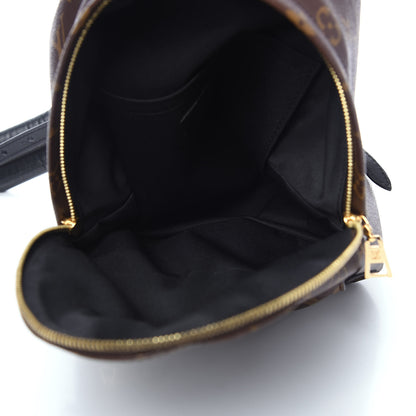 Louis Vuitton Monogram Palm Springs Backpack PM 4 of 8